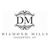 Diamond Mills NY